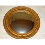 A convex circular wall mirror in gilt circular frame,
