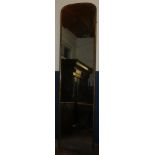 A large 19th Century slim rectangular mirror in gilt frame,