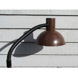 A brown standard lamp with adjustable single spot