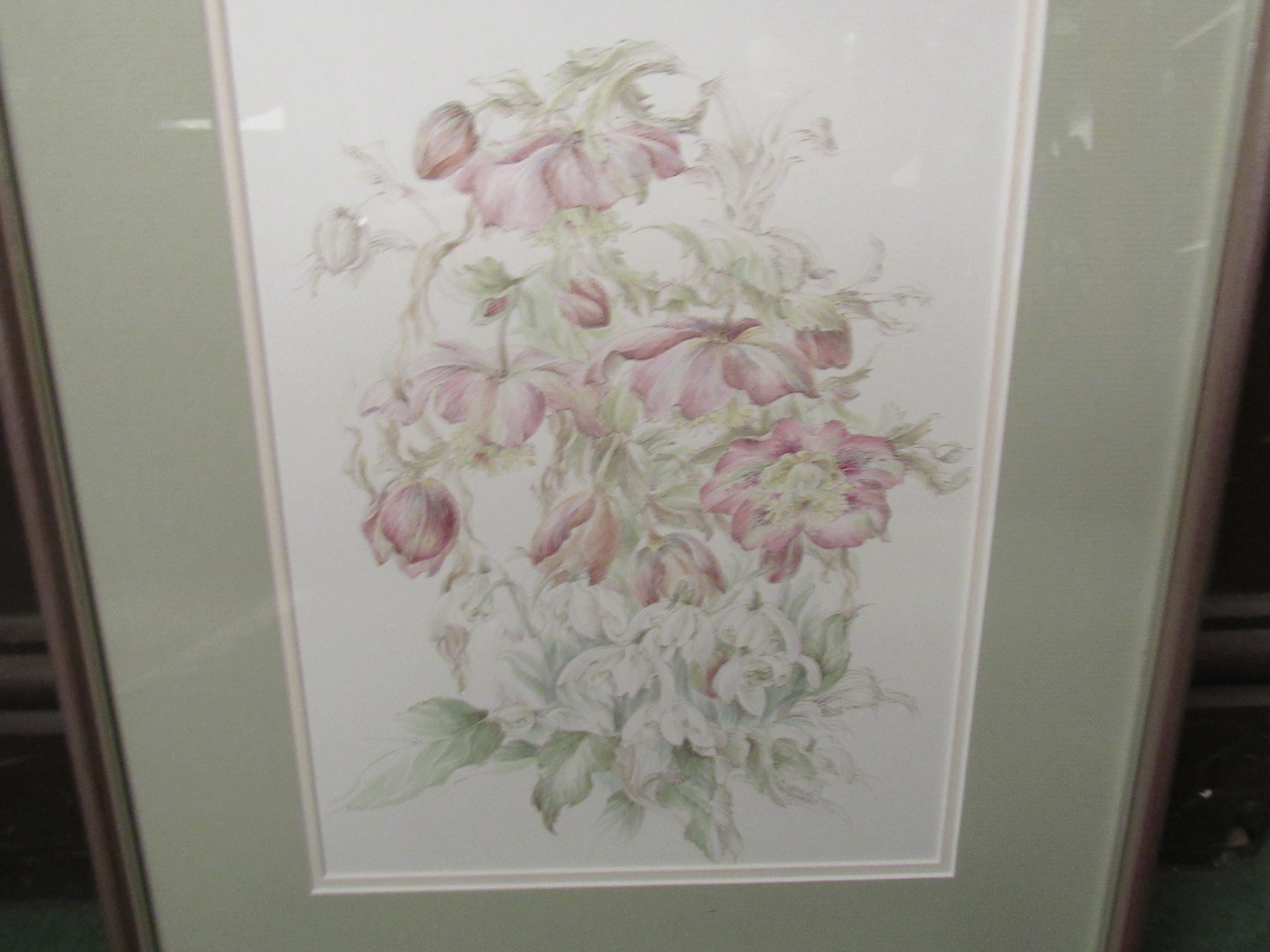 JENNIFER ANDREWS: A pair of watercolours of convulvulous and helleborus, - Image 2 of 2