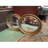 A pair of circular gilt frame mirrors