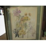 A set of four framed and glazed prints of specimen plants at Walberswick,