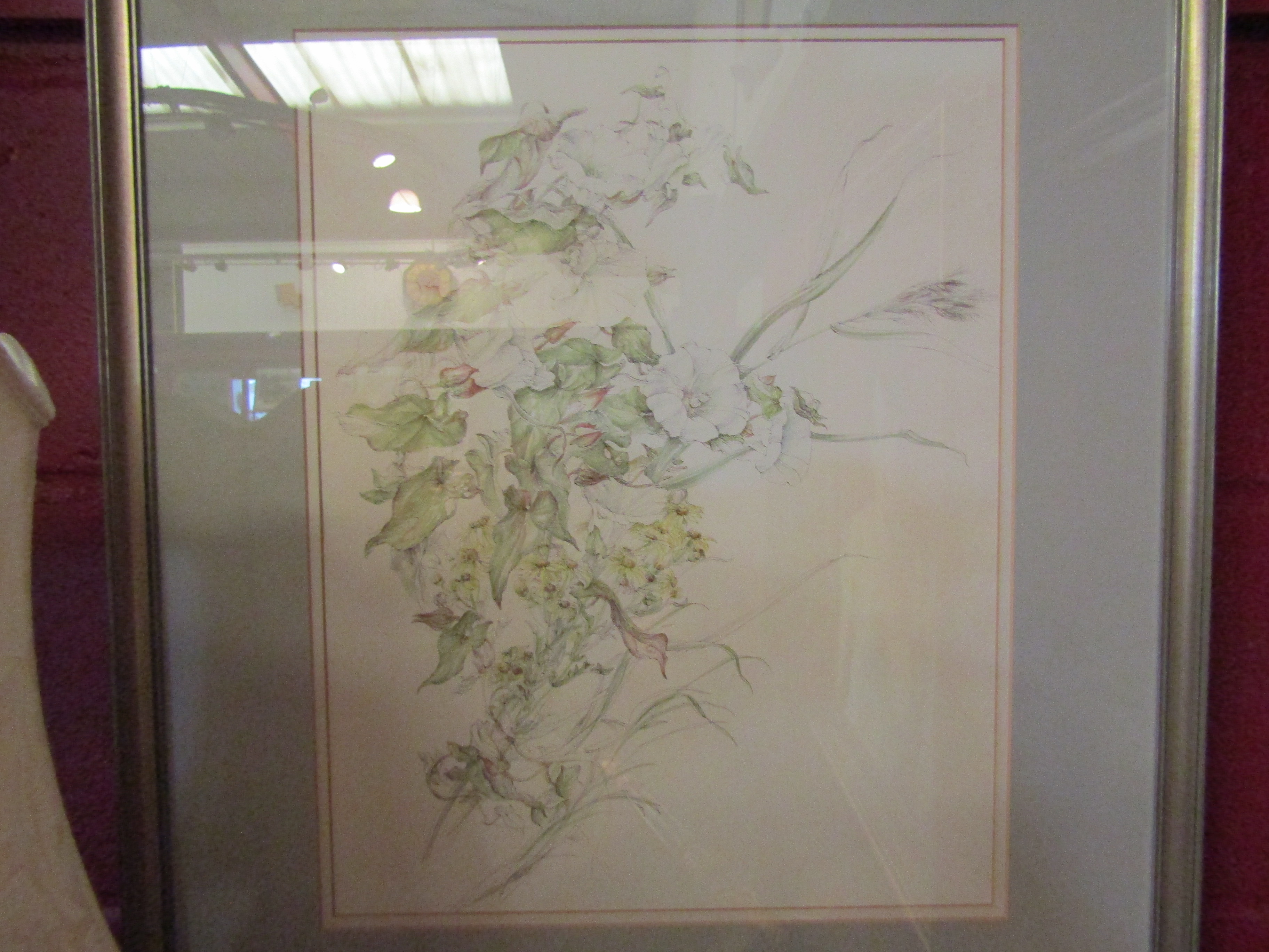 JENNIFER ANDREWS: A pair of watercolours of convulvulous and helleborus,