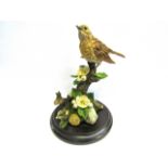 A Country Artist figure of a "Song Thrush" model no. ca.