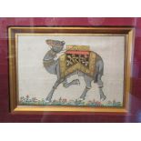 A Mughal painting of a camel,