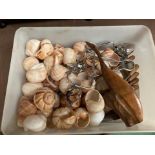 A box of snail shells together with stainless steel plates, three snail holders and eight forks