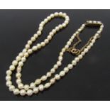 A single strand of knotted pearls with gold clasp,