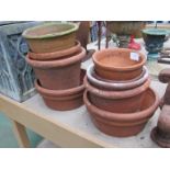 Two terracotta seed pans and mixed pots