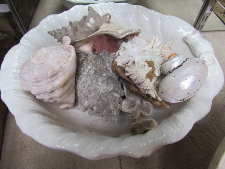 A shell form bowl containing mixed seashells