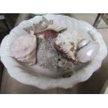 A shell form bowl containing mixed seashells