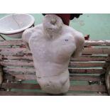 A reconstituted male torso. Approximately 55cm tall.