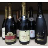 Nine bottles of various sparkling wines etc incluidng Gran Castellflorit Cava, Blan de Blancs Brut,