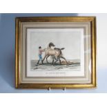 A 19th Century coloured etching titled "Le Cheval Bouchonne", framed and glazed,