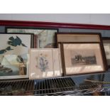 A quantity of prints including ornotholigical, Flora and Forna, Hyde Hall etc.