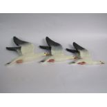 A set of three Beswick Seagull wall plaques, in gloss, model no's.