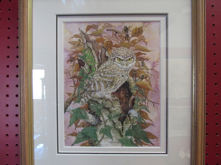 A.J. WATTS (XX) A framed and glazed watercolour of a little owl, signed lower left 22.5cm x 17.