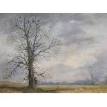 SHIRLEY CARNT; An oil on canvas of tree landscape, framed,