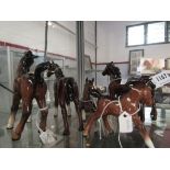 Six Beswick Foals in brown gloss including no's 915,946,