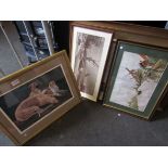 A collection of five various framed prints,