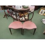 A pair of 19th Century hand painted Sheraton style chairs by Edwards & Roberts,