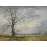 SHIRLEY CARNT: An oil on canvas of tree landscape, framed,