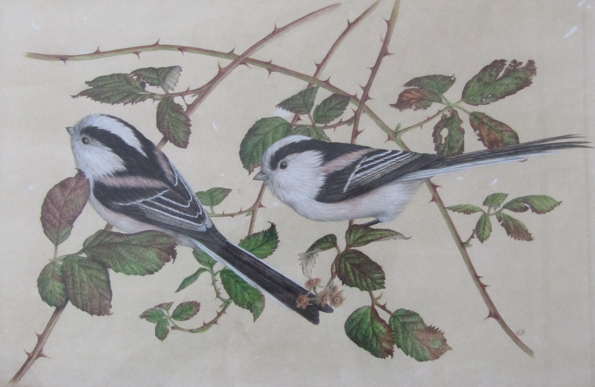 ROBERT L. SHEPPERSON (1955-2012) Two framed and glazed watercolours, 'Long Tailed Tits', 20. - Image 2 of 5