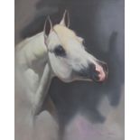 A 2001 large oil on board, portrait of a white horse. Indistinctly signed bottom right and dated.