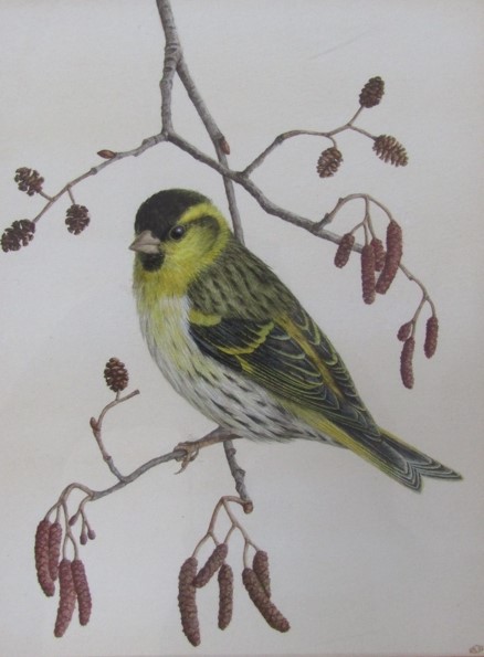 ROBERT L. SHEPPERSON (1955-2012) Two framed and glazed watercolours, 'Long Tailed Tits', 20. - Image 3 of 5