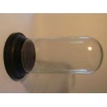 A 19th Century cylindrical glass dome on circular ebonised base (dome 40cm high,
