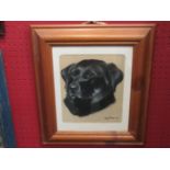 REX FLOOD (XX) A framed and glazed pastel on card of black labrador, signed and dated 1967,