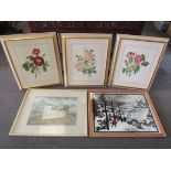 Three framed and glazed coloured floral prints,