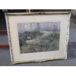 BRIAN FENSOME: Watercolour of badgers, signed lower right, framed and glazed,