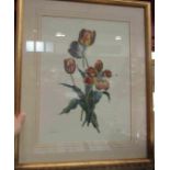 A coloured print of tulips, framed and glazed,