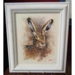 RYAN: Oil on board of a hare in painted white frame,