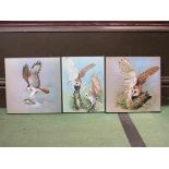 Three images on board depicting barn owls perched on trees and eagle hunting fish