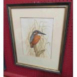 ROBERT L. SHEPPERSON (1955-2012) A framed and glazed watercolour of a Kingfisher.