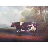 A gilt framed oleograph The Rochford Giant (1820) depicting show cow, 62.5cm x 42.