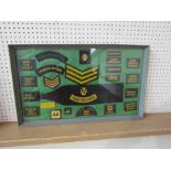 A framed 'AA' lapel badge display