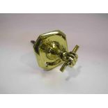 A brass Victorian front door bell pull,