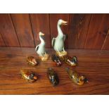 Six ceramic ducks and two 1930's era German ceramic geese