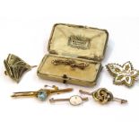 Six various brooches including 9ct gold cameo