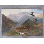 A late 19th Century oil on canvas, mountainous valley scene.