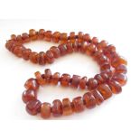 A chunky amber necklace, hand knotted with plated clasp, 60cm long,