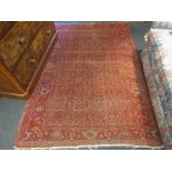 A red ground rug Middle Eastern wool rug, trimmed fringe,