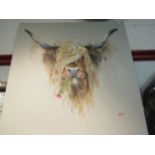 RYAN: Acrylic on canvas of Highland cow with thistle in his mouth 60cm x 60cm