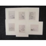 Seven early 19th Century etchings of cattle,