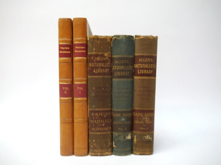 White: 'Natural History of Selborne', 1822, new edition, 2 vols + Allen's Naturalists Library,