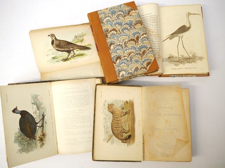 White: 'Natural History of Selborne', 1822, new edition, 2 vols + Allen's Naturalists Library, - Image 3 of 3