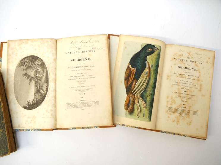 White: 'Natural History of Selborne', 1822, new edition, 2 vols + Allen's Naturalists Library, - Image 2 of 3