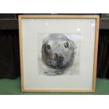 Diane Tapping. Watercolour of a seal pup C.1997.